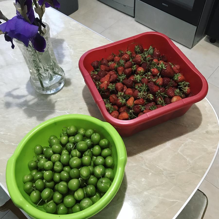 תלאווי Mari Guest House מראה חיצוני תמונה
